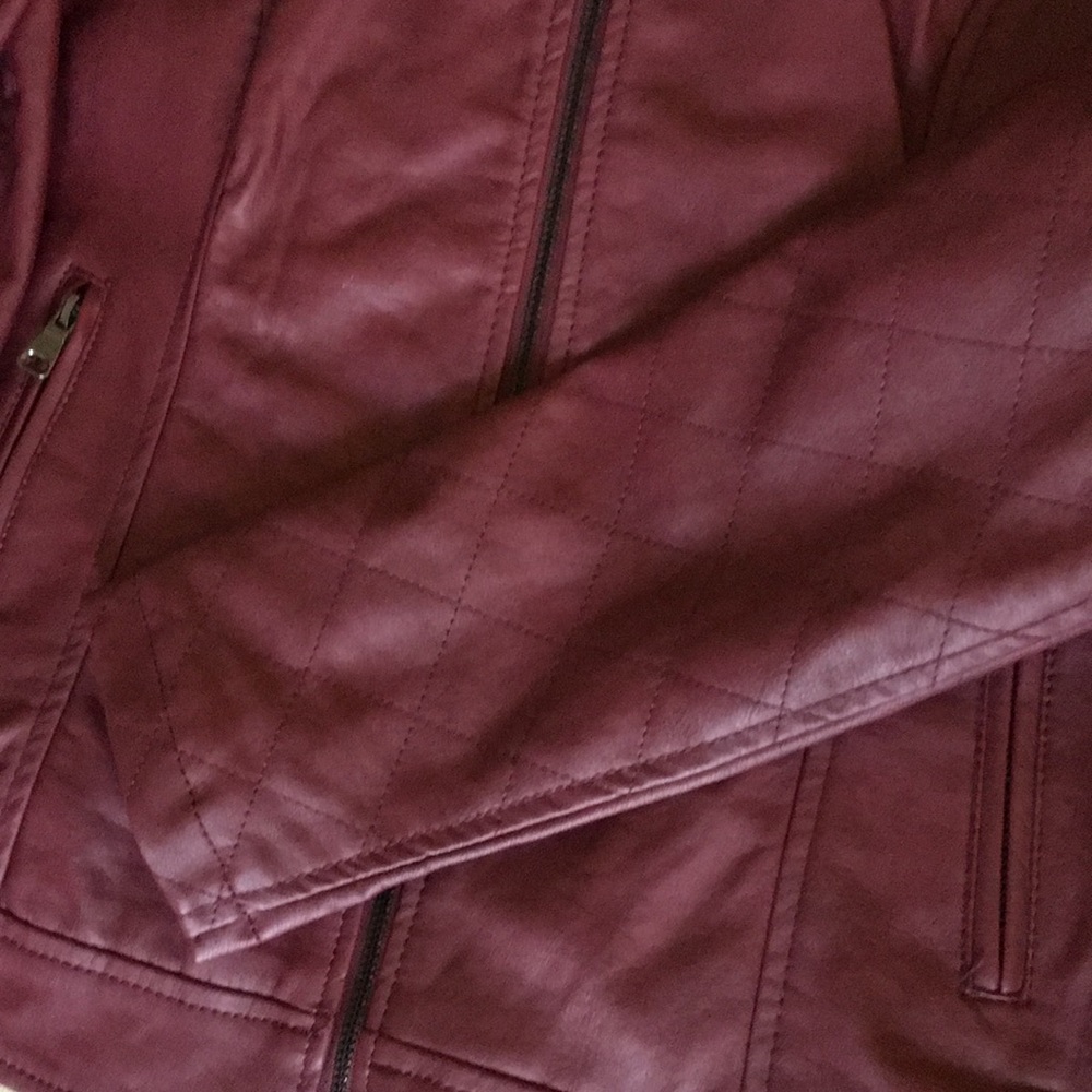 Cavalini Moto Jacket Size XL - Picture 7 of 11